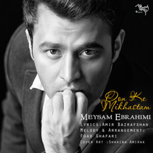 Meysam Ebrahimi – Oon Ke Mikhastam