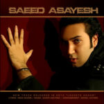 Download Music Saeed Asayesh – Lahzeye Akhar