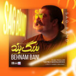 Download Music Behnam Bani – Sag Band