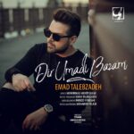 Download Music Emad Talebzadeh – Dir Umadi Bazam