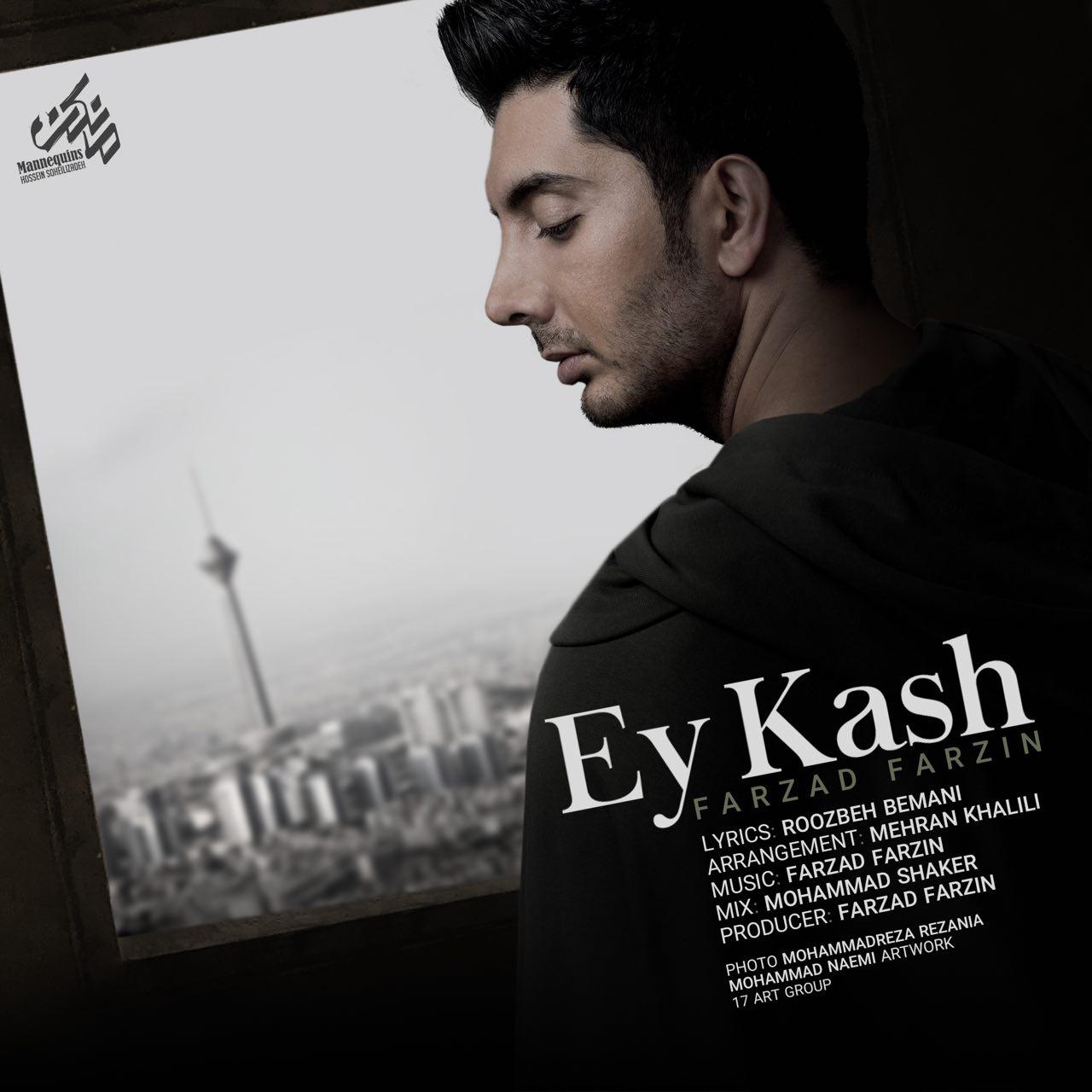 Download New Music By  Farzad Farzin Called Ey Kash