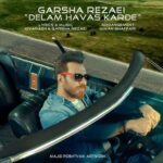 Download Music Garsha Rezaei – Delam Havas Karde