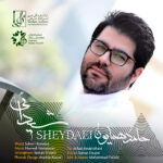 Download Music Hamed Homayoun – Sheydaei