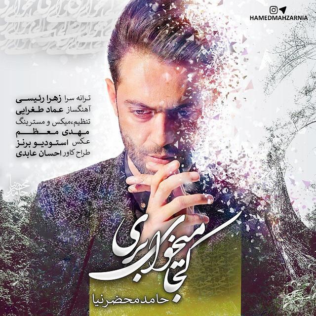 Download New Music By  Hamed Mahzarnia Called Koja Mikhay Beri