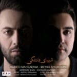 Download Music Hamed Mahzarnia – Shabhaye Deltangi (Ft Mehdi Shokoohi)