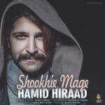 Download Music Hamid Hiraad – Shookhie Mage