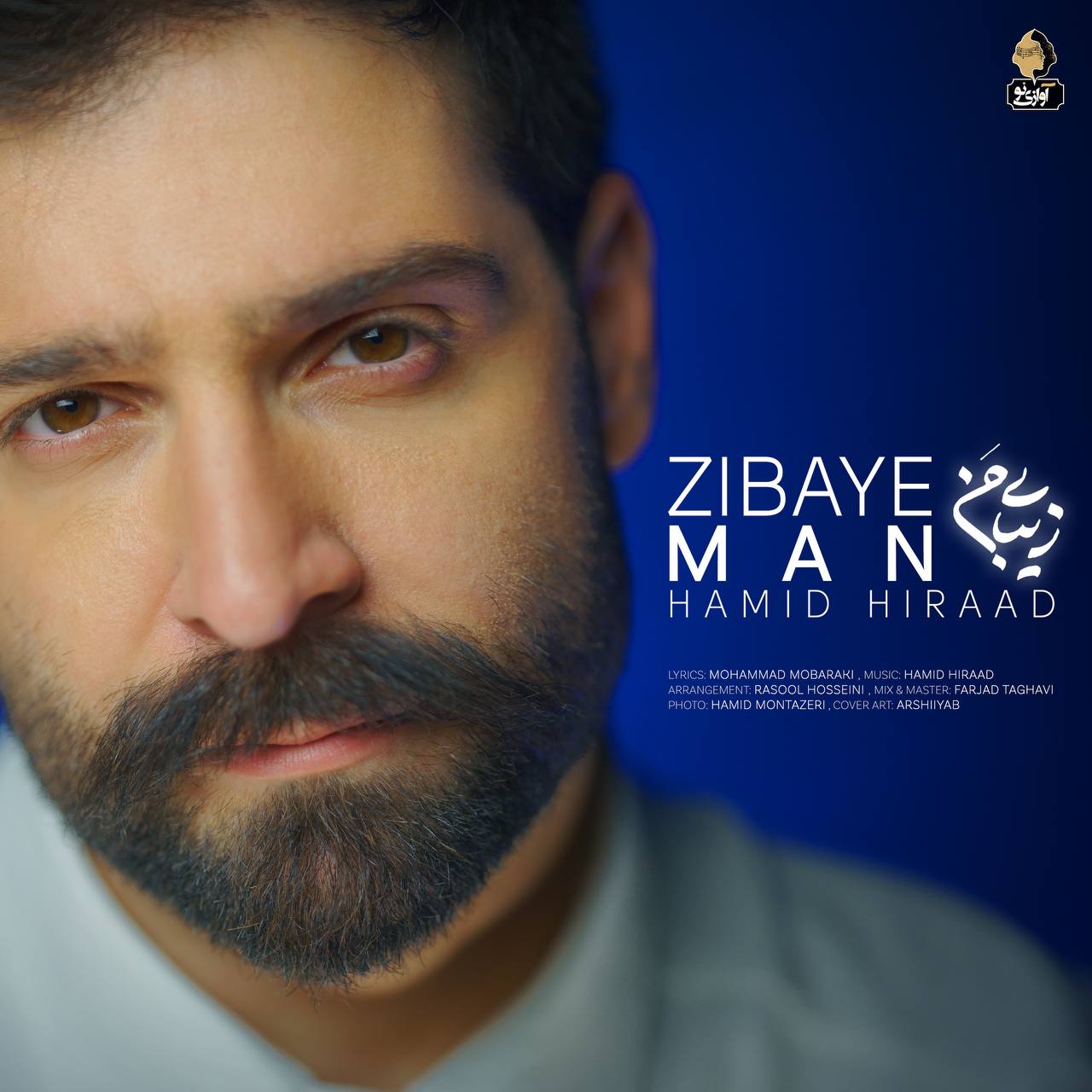 Download New Music By  Hamid Hiraad Called Zibaye Man