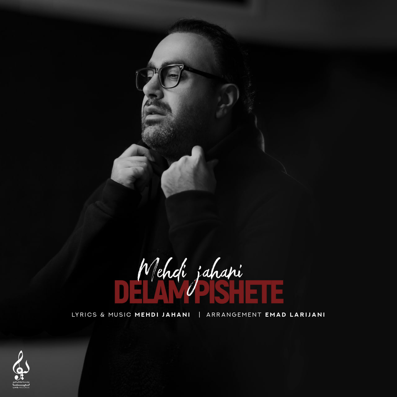 Download New Music By  Mehdi Jahani Called Delam Pishete