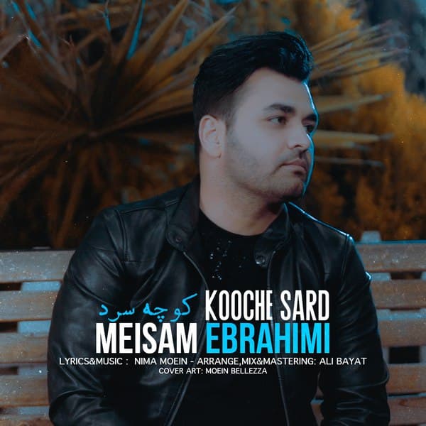 Download New Music By  Meysam Ebrahimi Called Kooche Sard