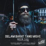 Download Music Moein Z – Delam Barat Tang Mishe