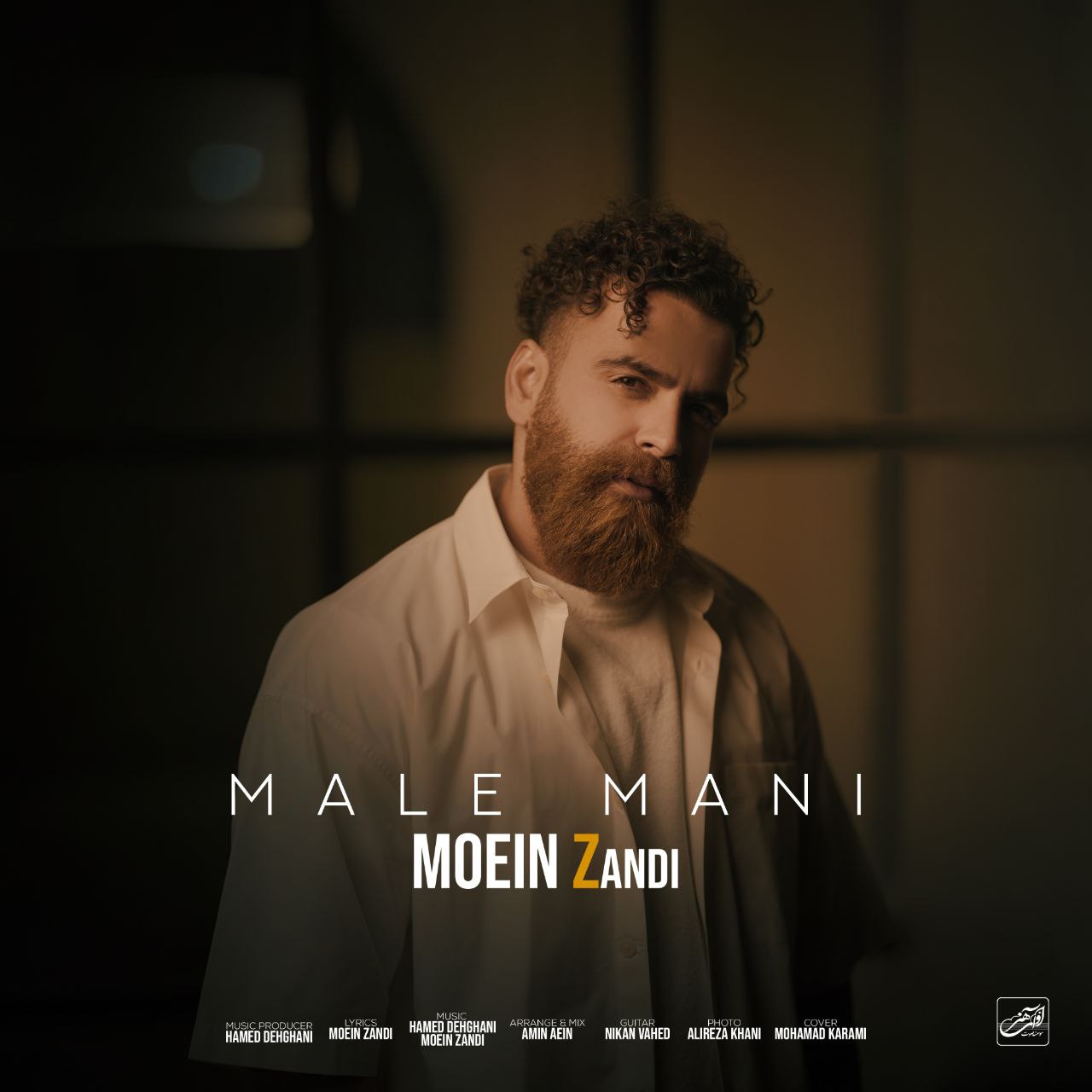Download New Music By  Moein Z Called Male Mani