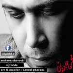 Download Music Mohsen Chavoshi – My Bride (Remix By Saeed Gharani)