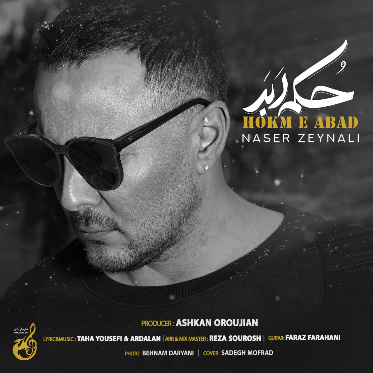 Download New Music By  Naser Zeynali Called Hokme Abad