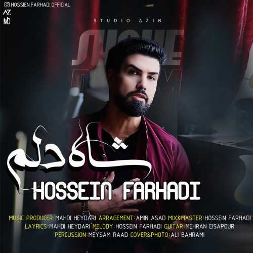 Download New Music By  Hossein Farhadi Called Shahe Delam
