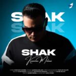 Download Music Kamran Molaei – Shak