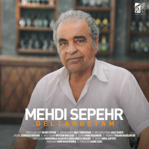 Download New Music By  Mehdi Sepehr Called Deltangetam
