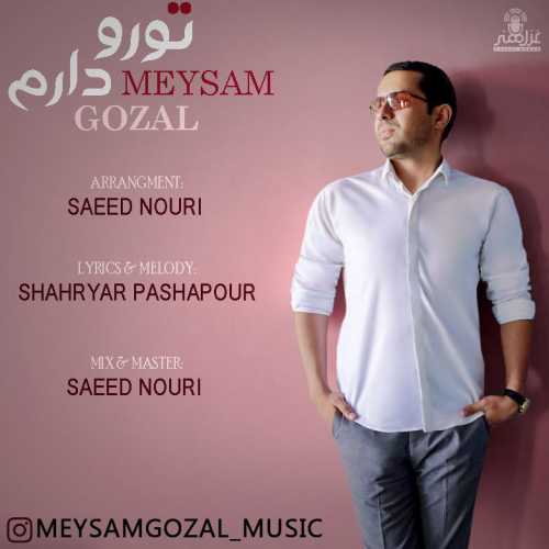 Download New Music By  Meysam Gozal Called Toro Daram