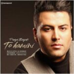 Download Music Pouya Bayati – To Hamini