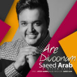 Download Music Saeed Arab – Are Divoonam