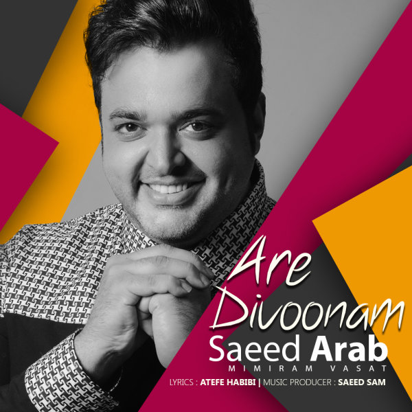 Download New Music By  Saeed Arab Called Are Divoonam