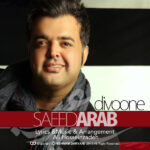 Download Music Saeed Arab – Divooneh