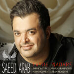 Download Music Saeed Arab – Fayde Nadare (Remix)