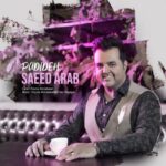 Download Music Saeed Arab – Padideh