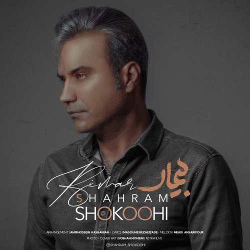 Download New Music By  Shahram Shokoohi Called Bimar