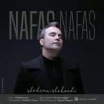 Download Music Shahram Shokoohi – Nafas Nafas
