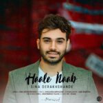 Download Music Sina Derakhshande – Hale Naab