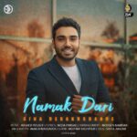 Download Music Sina Derakhshande - Namak Dari 2 Download Music Sina Derakhshande – Namak Dari