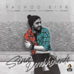 Download Music Sina Derakhshande – Pashoo Biya
