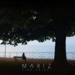 Download Music Sina Hejazi - Mariz 2 Download Music Sina Hejazi – Mariz