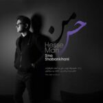 Download Music Sina Shabankhani – Hesse Man