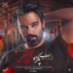 Download Music Sohrab Pakzad – Gole Bi Naghs