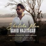 Download Music Vahid Hajitabar – Shabihe Man