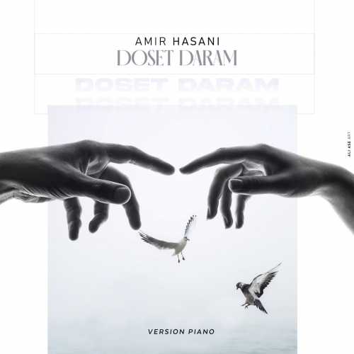 Download New Music By  Amir Hasani Called Doset Daram