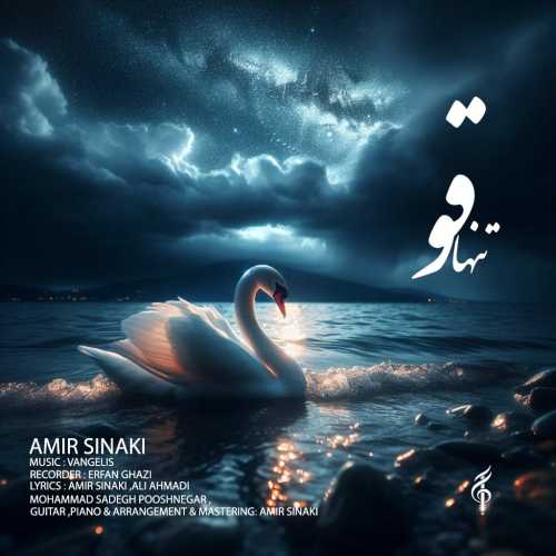 Download New Music By  Amir Sinaki Called Tanha Ghoo