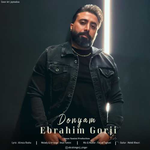 Download New Music By  Ebrahim Gorji Called Donyam