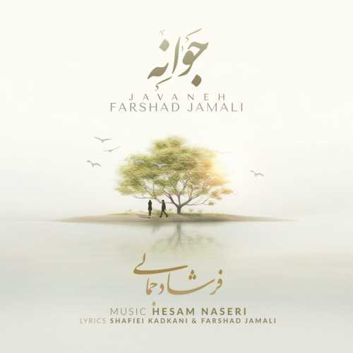 Download New Music By  Farshad Jamali Called Javaneh