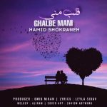 Download Music Hamid Shokraneh – Ghalbe Mani