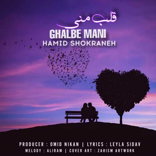 Download New Music By  Hamid Shokraneh Called Ghalbe Mani