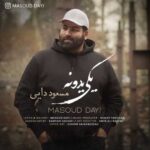Download Music Masoud Dayi – Yeki Yedone