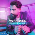 Download Music Meysam Bamin – To Del Boro
