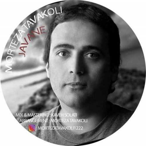 Download New Music By  Morteza Tavakoli Chalespari Called Javane