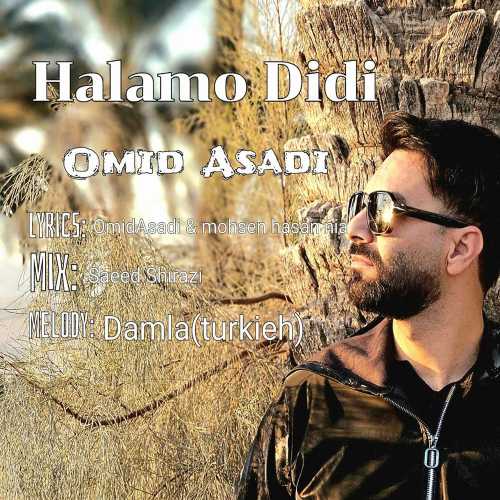 Download New Music By  Omid Asadi Called Halamo Didi