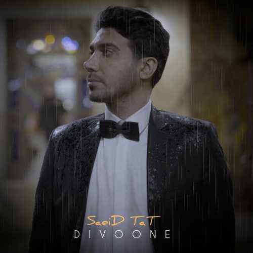 Download New Music By  Saeid Tat Called Divooneh