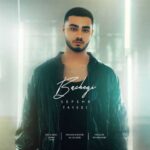 Download Music Sepehr Tayebi – Bachegi