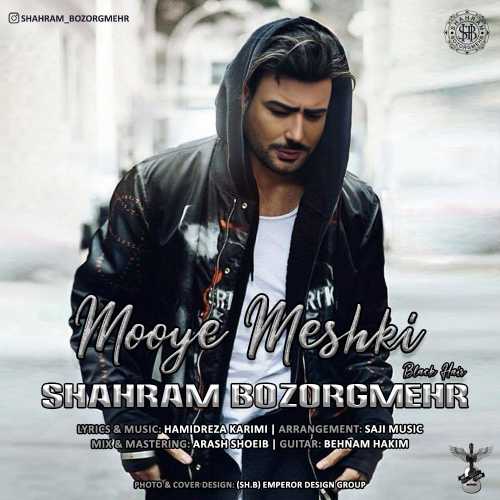 Download New Music By  Shahram Bozorgmehr Called Mooye Meshki
