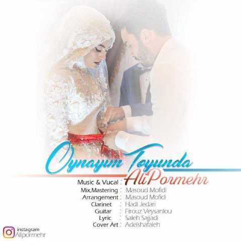 Download Music Ali Pormehr - Oynayim Toyunda